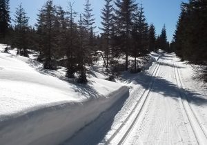 Bilde fra nyoppkjørte skipor.