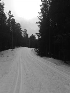 Skispor Lillomarka 4/3-2019.
