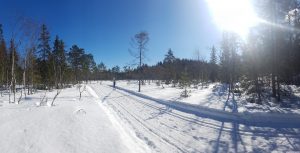 Skiløper på vei vekk fra fotografen.