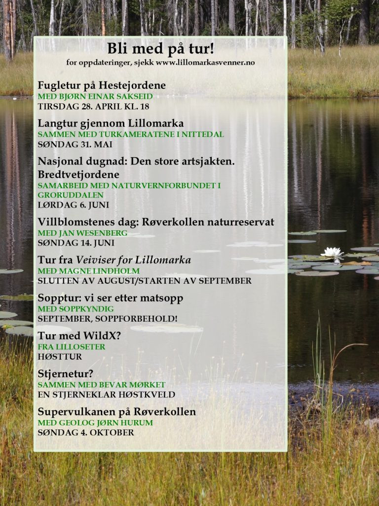        Bli med på tur!
   for oppdateringer, sjekk www.lillomarkasvenner.no

Fugletur på Hestejordene
MED BJØRN EINAR SAKSELD 
TIRSDAG 28. APRIL KL 18
Langtur gjennom Lillomarka
SAMMEN MED TURKAMERATENE I NITTEDAL 
SØNDAG 31. MAI
Nasjonal dugnad: Den store artsjakten. 
Bredtvetjordene
SAMARBEID MED NATURVERNFORBUNDET I 
GRORUDDALEN
LØRDAG 6. JUNI
Villblomstenes dag: Røverkollen naturreservat
MED JAN WESENBI Rc; 
SØNDAG 14. JUNI
Tur fra Veiviser for Lillomarka
MED MAGNE LINDHOLM
SLUTTEN AV AUGUST/STARTEN AV SEPTEMBER
Sopptur: vi ser etter matsopp
MED SOPPKYDIG
SEPTEMBER, SOPPFORBEHOLD!
Tur med WildX?
FRA LILLOSETER 
HØSTTUR
Stjernetur?
SAMMEN MED BEVAR MØRKET 
EN STJERNEKLAR HØSTKVELD
Supervulkanen på Røverkollen
MED GEOLOG JØRN HURUM 
SØNDAG 4. OKTOBER
